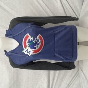 MLB Cubs Win World Series 2016 Hoodie Pullover